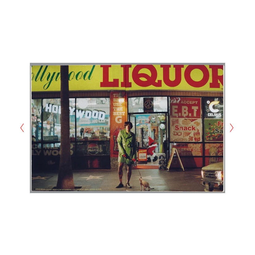 NADIA LEE COHEN x STEVE LACEY PERFECT MAGAZINE
